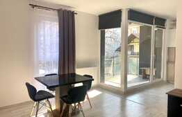 Apartament 2 camere, mobilat modern,50mp, complex nou, zona strazii Burebista