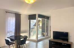 Apartament 2 camere, mobilat modern,50mp, complex nou, zona strazii Burebista