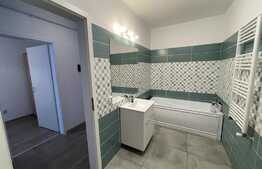 Apartament 2 camere, semidecomadat, Corneliu Coposu, Dambu Rotund