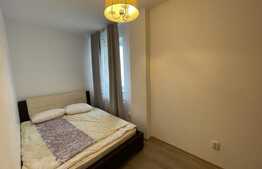 Apartament 2 camere, semidecomadat, Corneliu Coposu, Dambu Rotund