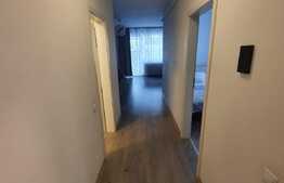 Apartament 2 camere, semidecomadat, Corneliu Coposu, Dambu Rotund