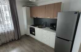 Apartament 2 camere, semidecomadat, Corneliu Coposu, Dambu Rotund