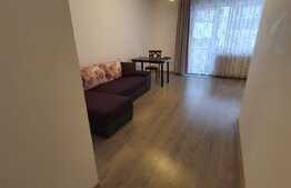 Apartament 2 camere, semidecomadat, Corneliu Coposu, Dambu Rotund