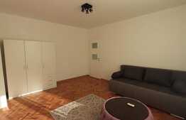 Apartament 2 camere, decomandat, 50 mp, lux, zona strazii Traian