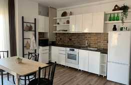 Apartament cu 2 camere, 55 mp, pet friendly, parcare, prima inchiriere, totul nou, zona strazii Mihai Romanul