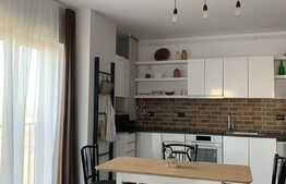 Apartament cu 2 camere, 55 mp, pet friendly, parcare, prima inchiriere, totul nou, zona strazii Mihai Romanul