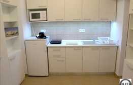 1 camera de inchiriat, 18 mp utili, zona Piata Unirii, la prima inchiriere