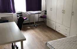 1 camera, 23 mp, pet friendly, modern, zona Louis Pasteur