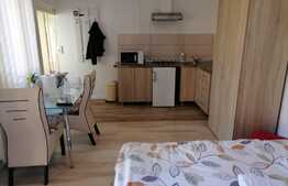 Doua apartamente la casa, pentru subinchiriere in regim hotelier