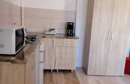Doua apartamente la casa, pentru subinchiriere in regim hotelier