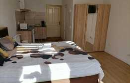 Doua apartamente la casa, pentru subinchiriere in regim hotelier