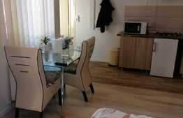 Doua apartamente la casa, pentru subinchiriere in regim hotelier