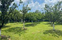 Vila exclusivista cu piscina, 300 mp utili, 1100 mp teren