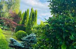 Vila exclusivista cu piscina, 300 mp utili, 1100 mp teren