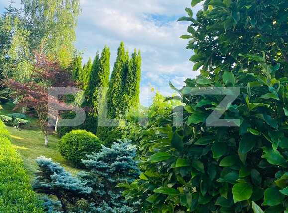 Casa de vânzare 5 camere Făget - 61065CV | BLITZ Cluj-Napoca | Poza14