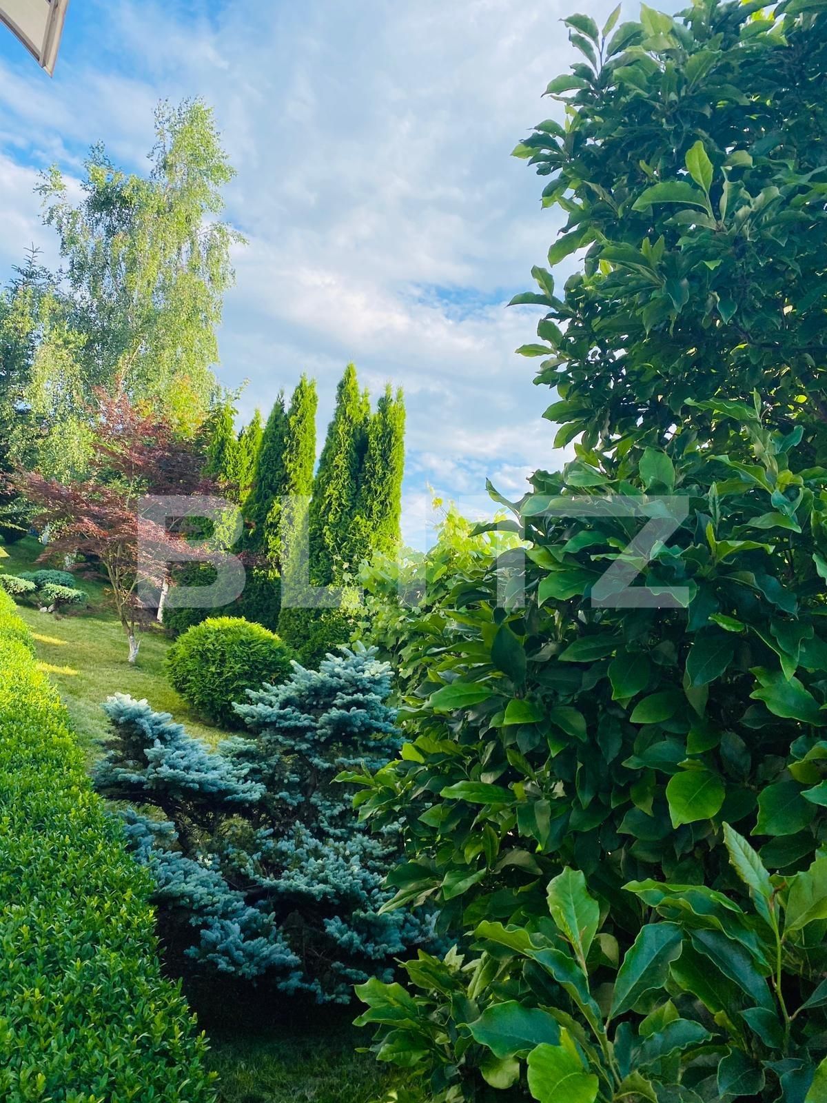 Casa de vânzare 5 camere Făget - 61065CV | BLITZ Cluj-Napoca | Poza14