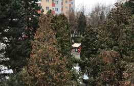 Apartament 3 camere in Manastur!