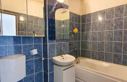 Apartament spatios si luminos, 36 mp, zona strazii Maramuresului