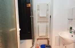 Garsoniera 22 mp, mobilata/utilata LUX, zona Calea Baciului