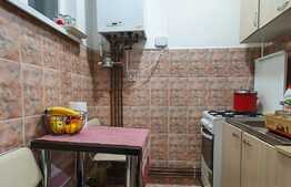 Garsoniera 22 mp, mobilata/utilata LUX, zona Calea Baciului