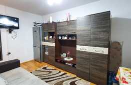 Garsoniera 22 mp, mobilata/utilata LUX, zona Calea Baciului