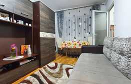 Garsoniera 22 mp, mobilata/utilata LUX, zona Calea Baciului