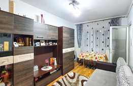 Garsoniera 22 mp, mobilata/utilata LUX, zona Calea Baciului