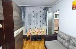 Garsoniera 22 mp, mobilata/utilata LUX, zona Calea Baciului