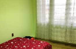 Apartament 2 camere, 42 mp, cu balcon, finisat, mobilat, zona Horea 