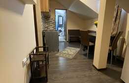 Garsonieră în inima munților mobilat/utilat