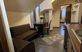 Garsonieră în inima munților mobilat/utilat