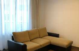 1 camera, 45 mp, prima inchiriere, pet friendly, zona Portelanului