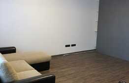 1 camera, 45 mp, prima inchiriere, pet friendly, zona Portelanului