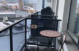 1 camera, 45 mp, prima inchiriere, pet friendly, zona Portelanului