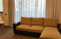 1 camera, 45 mp, prima inchiriere, pet friendly, zona Portelanului