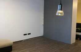 1 camera, 45 mp, prima inchiriere, pet friendly, zona Portelanului