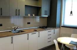 1 camera, 45 mp, prima inchiriere, pet friendly, zona Portelanului