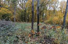 Teren intravilan Faget, 989 mp