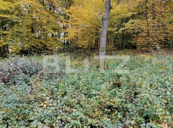 Teren de vânzare Făget - 61093TV | BLITZ Cluj-Napoca | Poza2