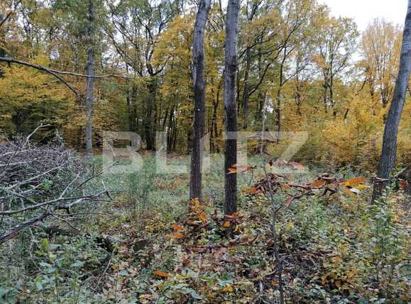 Teren de vânzare Făget - 61093TV | BLITZ Cluj-Napoca | Poza1