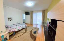 1 camera, 35 mp, mobilat, zona strazii Florilor