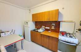 1 camera, 35 mp, mobilat, zona strazii Florilor