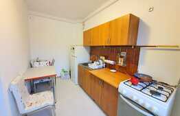 1 camera, 35 mp, mobilat, zona strazii Florilor