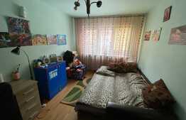 Apartament 2 camere, zona Garii