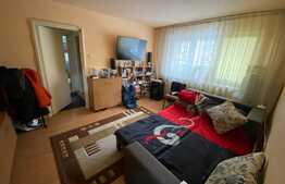 Apartament 2 camere, zona Garii