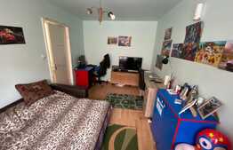 Apartament 2 camere, zona Garii