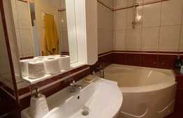 Apartament de 2 camere, decomandat, 60 mp, parcare, zona strazii Liviu Rebreanu