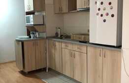 Garsoniera de inchiriat, 27 mp utili, terasa, zona UMF