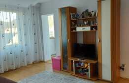 Apartament 2 camere, Calea Bucuresti 