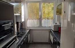 Apartament 2 camere, 55 mp, mobilat, parcare
